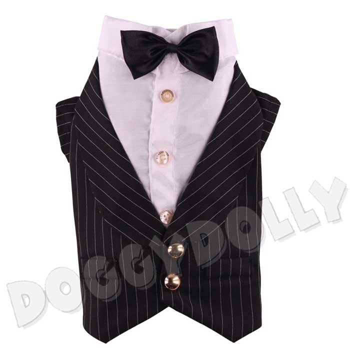 Bully Frack mit Fliege schwarz gestreift Mops & Bulldogge